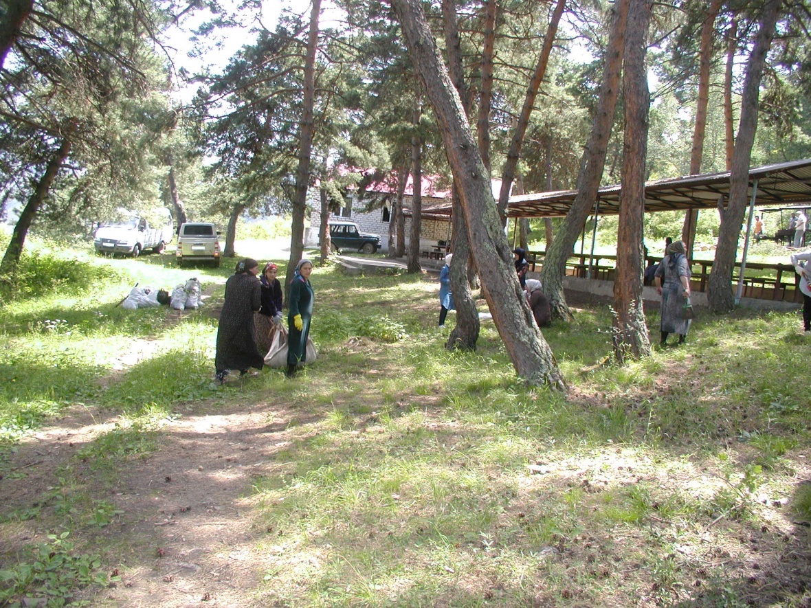 20 июля по инициативе главы района Мухидина Магомедова в лесной поляне возле села Чарода был проведен субботник