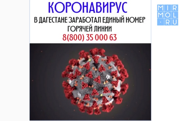 В Дагестане запущена единая горячая линия по коронавирусу. На платформе Яндекс.Чаты был создан канал оперативной информации о ситуации с коронавирусом