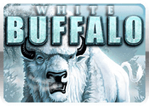 White Buffalo